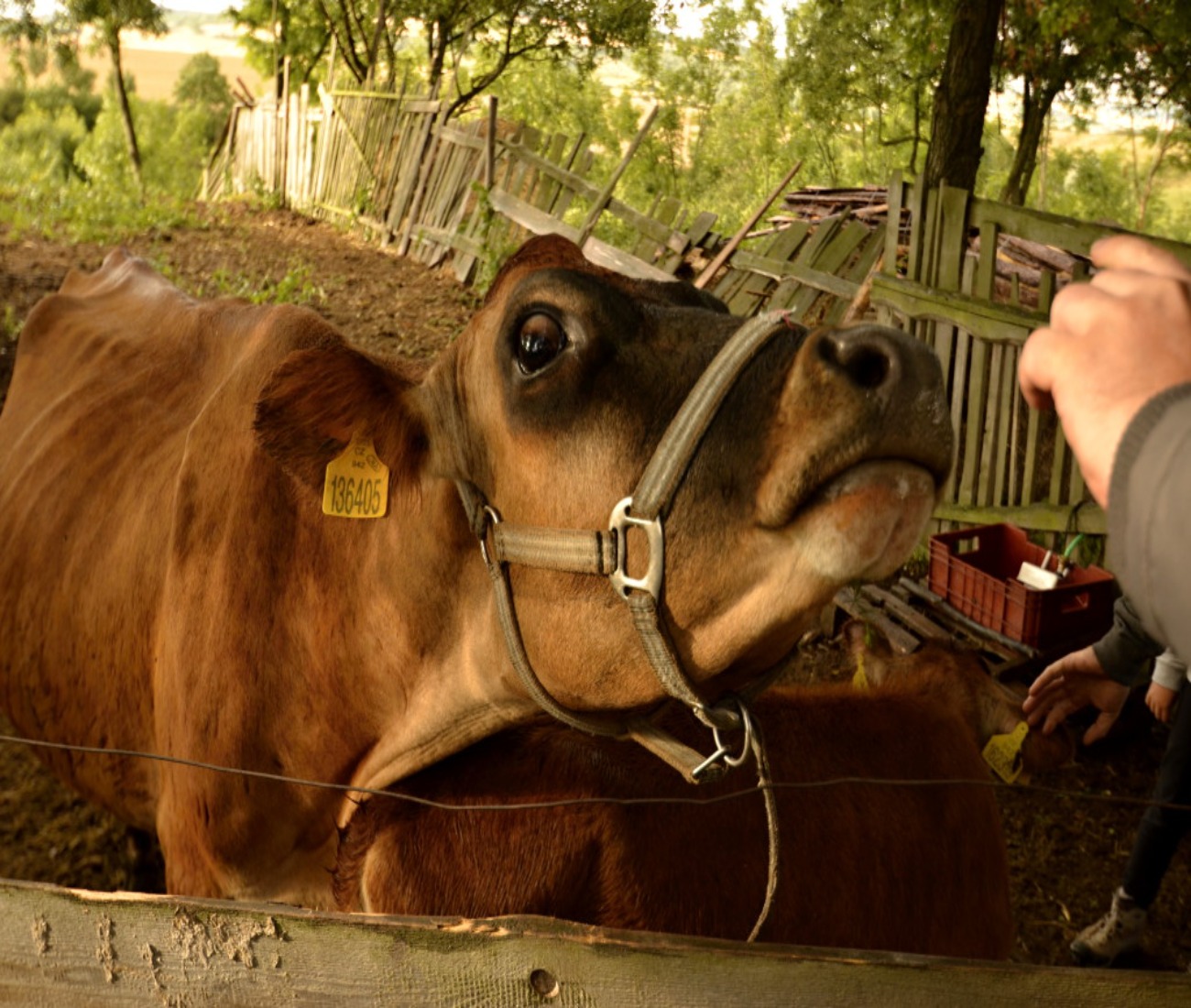Dárkový poukaz na soukromý výlet plný dobrodružství s Offroadsafari.cz – ukázka 10 – Darujpoukaz.cz